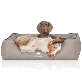 Ein gemütliches Hundebett in neutralem Grau mit dem Logo "KNUFFELWUFFF" sichtbar. Zwei Hunde liegen bequem, einer mit einem verspielten Ausdruck.