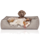 Ein gemütliches Hundebett in neutralem Grau mit dem Logo "KNUFFELWUFFF" sichtbar. Zwei Hunde liegen bequem, einer mit einem verspielten Ausdruck.