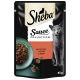 Torebka karmy dla kotów Sheba Sauce Collection z szarym kotem, miską wołowiny w sosie i tekstem 'sauce lover mit Rind au boeuf.'