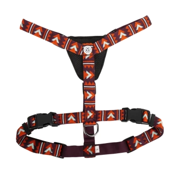Buntes Haustiergeschirr mit geometrischem Muster in Rot, Orange und Blau, mit verstellbaren Riemen und einem metallenen D-Ring zur Leinenbefestigung.
