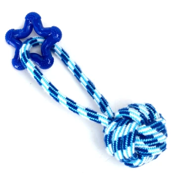 Blau-weiß gestreiftes Seilspielzeug mit einem sternförmigen Griff und einem geknoteten Ball, entworfen für das Spielen und Kauen von Haustieren.