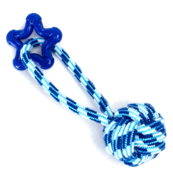 Blau-weiß gestreiftes Seilspielzeug mit einem sternförmigen Griff und einem geknoteten Ball, entworfen für das Spielen und Kauen von Haustieren.