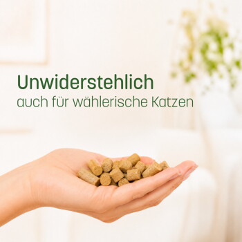 Graue Katze mit Kopf in Snackdose „Kaninchen Essential“; linkes Panel zeigt Überschrift „Funktional snacken“ und aufgelistete Vorteils-Punkte