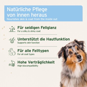 Australian Shepherd neben einem Etikett: 'Natürliche Pflege von innen heraus / Pflegt Haut und Fell von innen heraus'.