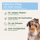 Australian Shepherd neben einem Etikett: 'Natürliche Pflege von innen heraus / Pflegt Haut und Fell von innen heraus'.