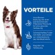 Ein glücklicher Border Collie sitzt neben einem blauen Panel, das die Vorteile von Hundefutter wie "ActivBiome+ für die Verdauung" und "leckere Hafer und Gerste" hervorhebt.