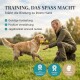 Ein weißer Hund steht auf Gras neben einem leuchtend gelben Haustierprodukt, mit dem Text 'FÜR ALLE RASSEN GEEIGNET DURCH IDEALE GRÖSSE.'