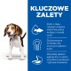 Szczeniak beagle'a na białym tle obok niebieskiego panelu podkreślającego DHA dla rozwoju mózgu, zrównoważone minerały i wysokiej jakości jagnięcinę z ryżem.