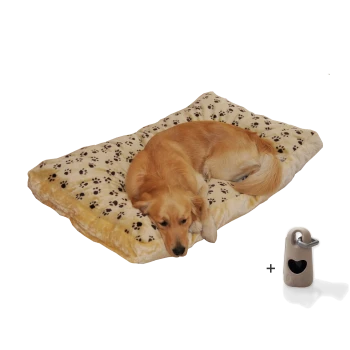 Ein Golden Retriever liegt bequem auf einem plüschigen Hundebett mit Pfotenabdruckmuster, begleitet von einem kleinen herzförmigen Accessoire.