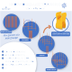 Bild eines Hundetraining-Sets mit Agility-Layouts, beschriftet mit "INDIVIDUELLES TRAINING", "1 Set = 9 Parcours" und Schwierigkeitsgraden.