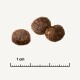 Three round, brown pet food pellets on a light background, with a ruler indicating a size of 1 cm below them.