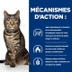 Un chat tigré confiant avec un collier bleu est assis à côté d'un texte sur la perte de poids des chats, couvrant l'utilisation d'énergie et les fibres pour la satiété.
