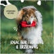 Ein fröhlicher Collie läuft mit einem roten Spielzeug, mit 'RudelKönig' und überlagertem Text: 'Ideal für Training & Erziehung' und 'Apportieren mit Spaß.'