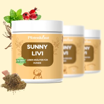 Leber Kräuter SUNNY-LIVI 200g Behälter von "Sunny Livi" Leberkräutern für Hunde von Pfotenkraut, mit grünem Pulver und einem Holzlöffel auf einem sanften orangefarbenen Hintergrund.