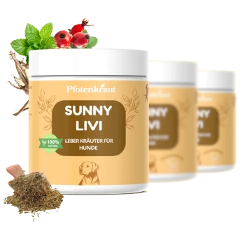 Behälter von "Sunny Livi" Leberkräutern für Hunde von Pfotenkraut, mit grünem Pulver und einem Holzlöffel auf einem sanften orangefarbenen Hintergrund.