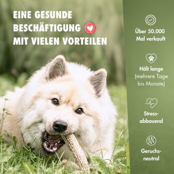 Flauschiger Hund kaut auf einem Geweih im Gras; deutscher Text 'Eine gesunde Beschäftigung mit vielen Vorteilen' und eine Liste mit Verkaufsargumenten/Vorteilen