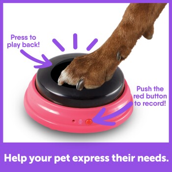 Une patte de chien appuyant sur un bouton de communication rose avec des instructions textuelles : "Appuyez pour lire !" et "Appuyez sur le bouton rouge pour enregistrer !"