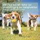 Ein Beagle läuft fröhlich in einem grasbewachsenen Feld mit einem gelben Ball, während zwei Hunde in der Nähe spielen. Textüberlagerung fördert die Gelenkunterstützung.