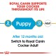 Royal Canin graphic for Cocker Spaniels showing age milestones: "2 Months Puppy" and "12 Months Adult," advising switch to Cocker Adult.