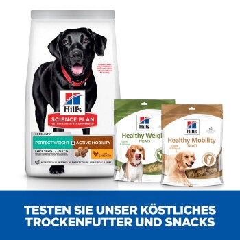 Ein schwarzer Hund mit rotem Halsband steht neben Hill's Science Plan Hundefutter- und Leckerli-Tüten, die einen Beagle und einen Golden Retriever zeigen.