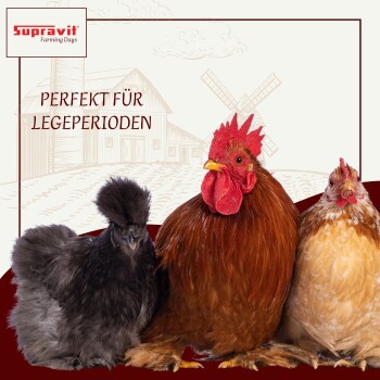 Korb mit braunen Eiern, gehalten von einer Person, im Hintergrund ein braunes Huhn, Text "STEIGERT LEGELEISTUNG" und Hühnersymbol.