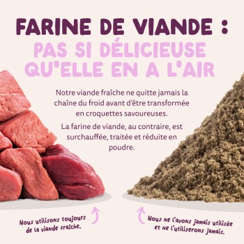 Publicité d'aliments pour animaux montrant de la viande crue (à gauche) vs de la poudre de farine de viande (à droite) avec titre « FARINE DE VIANDE : PAS SI DÉLICIEUSE QU'ELLE EN A L'AIR » et texte explicatif en français.