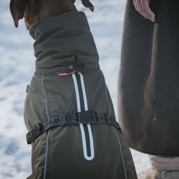 Ein brauner Hund, der einen stilvollen, isolierten grünen Mantel mit hohem Kragen trägt, ausgestattet mit einem Reißverschluss und verstellbaren Riemen, steht im Schnee.