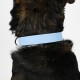 Biothane Halsband Hellblau M