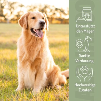 Ein zylindrischer Behälter mit Hundesnacks, der mit 'Fauchi Bauchi' beschriftet ist, mit dem Text 'Mich kannst du einfach verfüttern' auf einem Hintergrund aus Trockenfutter.