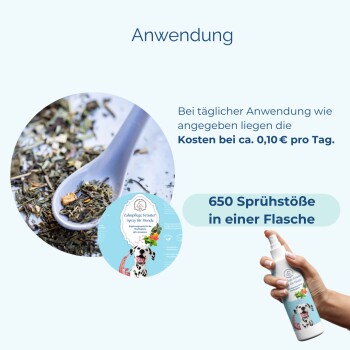 Hand hält eine Flasche mit pflanzlichem Zahnpflegespray für Hunde mit 650 Sprühstößen, Text auf Deutsch über Tageskosten von 0,10 €.
