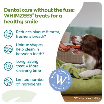 WHIMZEES ad: dog having teeth brushed - "Dental care without the fuss" - reduces plaque & tartar