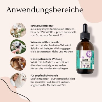 Ein glücklicher Shiba Inu bewirbt eine zweiwöchentliche Lösung zum Schutz vor Parasiten mit natürlichen Zutaten wie Saltidin und Eukalyptusöl.