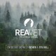 Nebliger Nadelwald mit REAVET Professional-Logo (heulender Wolf im Kreis) und Text: 'ENTDECKE DIE WELT SICHER & STILVOLL'