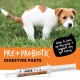 Weiß-brauner Welpe mit der Aufschrift 'PRE+PROBIOTIC DIGESTIVE PASTE'; Sprechblase: 'hilft, meinen Kot zu festigen + unterstützt meine Darmwand'