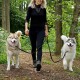 Eine Frau mit langen blonden Haaren geht mit zwei Hunden, einem hellbraunen Husky und einem flauschigen grauen Malamute, an Leinen durch einen grünen Wald.