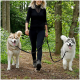 Eine Frau mit langen blonden Haaren geht mit zwei Hunden, einem hellbraunen Husky und einem flauschigen grauen Malamute, an Leinen durch einen grünen Wald.