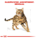 Illustratie van een Bengaalse kat met kenmerkende gevlekte vacht, vergezeld van de tekst "Rasspecifiek Assortiment: Bengaals" bovenaan.