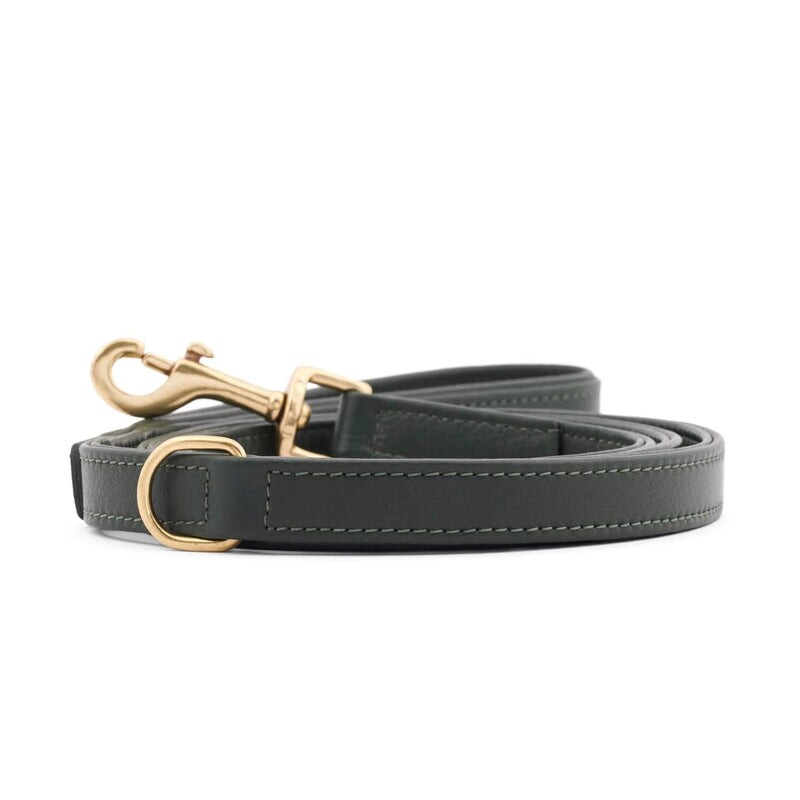 William Walker Hundeleine Plain Dark Moss XXS-XS