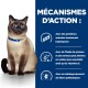 Un chat siamois avec un collier bleu à côté d'un texte sur les protéines hydrolysées, l'huile de poisson avec de la vitamine E et un mélange de fibres prébiotiques.