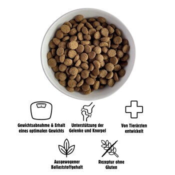 Schüssel mit braunem Haustierfutter mit Symbolen und Text, die Vorteile hervorheben: Gewichtsmanagement, Gelenkunterstützung, ausgewogene Ballaststoffe, vom Tierarzt entwickelt, glutenfrei.