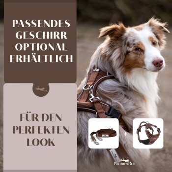 Eine Nahaufnahme eines braun-weißen Hundes mit einem Geschirr, mit dem Text "Passendes Geschirr optional erhältlich" und "Für den perfekten Look."