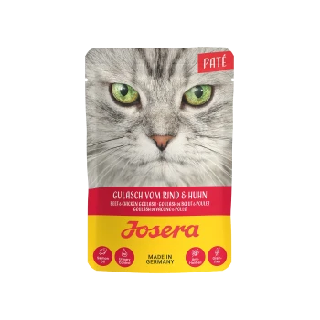 Nahaufnahme eines Katzenkopfes mit grünen Augen auf einem Futterbeutel beschriftet mit "Josera Paté Gulasch vom Rind & Huhn" mit Icons für Vorteile.