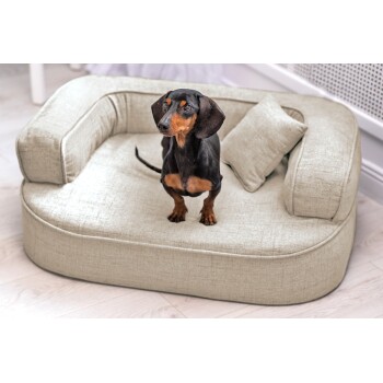 ® LOTTE VISCO PLUS - Orthopädisches Hundesofa creme 80 cm, 30 cm, 60 cm