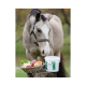 Ein graues Pferd steht neben einem Korb mit frischem Gemüse und Obst neben einem weißen Behälter mit der Aufschrift "MasterHorse Mass Metabol."