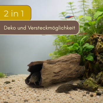 Künstliches Log-Versteck im Aquarium mit Pleco-Wels auf Kies und Pflanzen; Overlay-Text '2 in 1' und 'Deko und Versteckmöglichkeit'