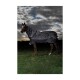 Regendecke Amigo Bravo 12 Reflectech Plus Turnout 100 g 1,4 m