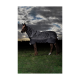 Ein braunes Pferd, das eine schwarz-weiße gestreifte Decke trägt, steht auf einer grasbewachsenen Fläche unter einem bewölkten Himmel.