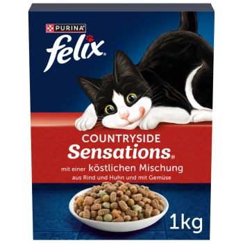Une boîte de nourriture pour chats Purina Felix Countryside Sensations avec un chat noir et blanc joueur sur le devant, accompagnée d'un bol de croquettes.