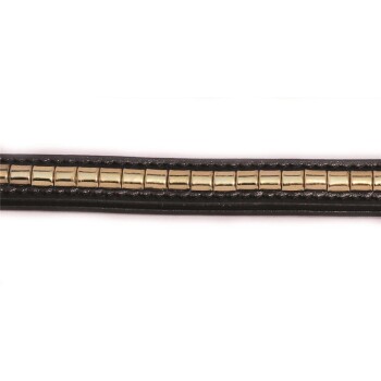 Schwarzes Leder-Haustierhalsband mit einer Reihe glänzender goldener Metallnieten in der Mitte.