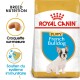 Nourriture pour chiots Royal Canin pour Bulldogs français, présentant une image de chiot, des détails sur la nutrition de la race et des affirmations pour le soutien du système immunitaire.